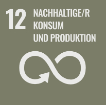 Icon - SDG-12