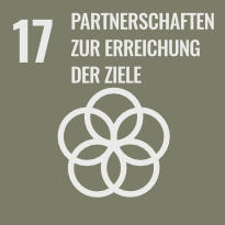Icon - SDG-17